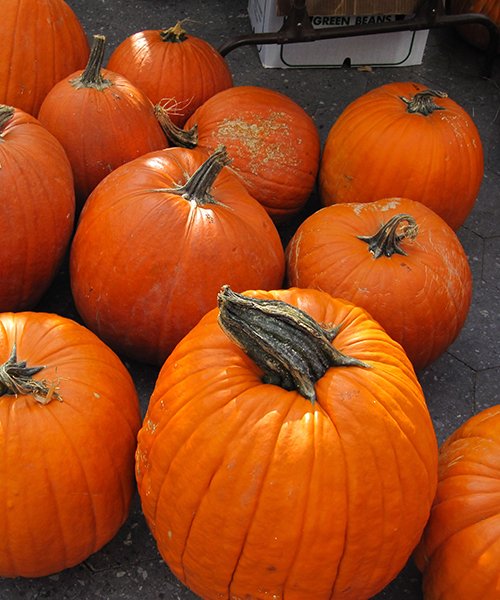 img blog landing How to Get Your Home Ready for a Stress Free Holiday Season Start Planning Now